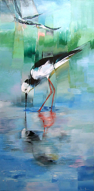 sheila brwon nz bird acrylics on canvas